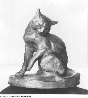 Schuldbewußtsein (Katze)