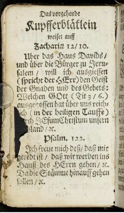 Das vorgehende Kupfferblätlein weiset auff [...]