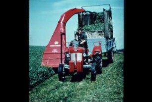 Fotografie: Erntetechnik, Feldhäcksler, Grünfutter, Schlegelfeldhäcksler