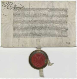 Schutzbrief König Ferdinands für Lüneburg.