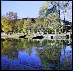 Titisee: Uferpromenade mit Spiegelung
