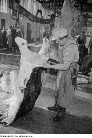 Fleischer beim Häuten eines Rinds