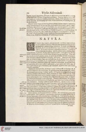 Natvra