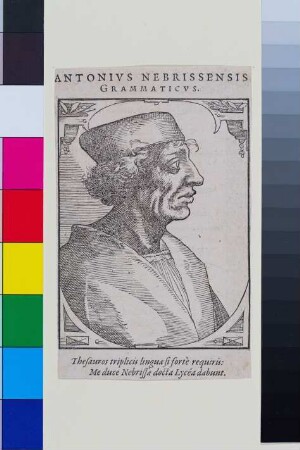 Porträt Antonius Nebrissensis (Elio Antonio de Nebrija)