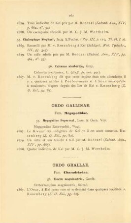 Ordo gallinae
