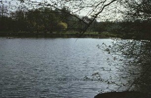 Mühlenteich