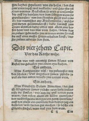 Das vierzehend Capit. Vor das Rothe wehe.