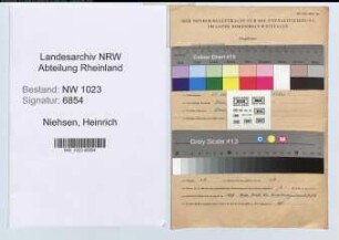 Entnazifizierung Heinrich Niehsen , geb. 13.10.1900 (Angest.)