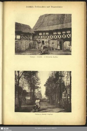 Blatt 31. Bild 1. Bauerngut - Hofansicht - in Niederzwönitz (Erzgebirge). Bild 2. Dorfstraße in Kühnhaide (Erzgebirge)