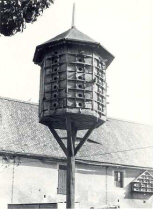Geflügelhaltung in Crostwitz, Taubenhaus : Land- und Viehwirtschaft - Geflügelzucht. Ort: Chrósćicy / Crostwitz. Taubenschlag