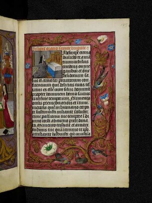 Vollbordürenseite mit Streumusterbordüre und Textanfangsminiatur: Birgitta betet vor einem Altar