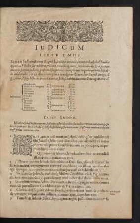 Iudicum Liber Unus.