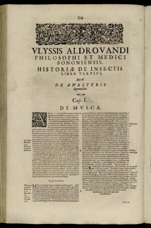 Liber Tertius, Qui est De Anelytris bipennibus.