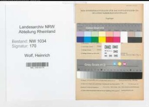 Entnazifizierung Heinrich Wolf , geb. 06.07.1900 (Stabsfeldwebel)