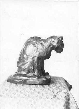Alte Katze (Sitzende alte Katze)