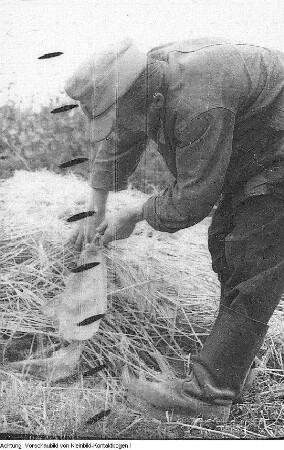 1. Landwirtschaftliche Leistungsschau, 8. Juli 1950