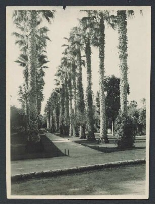 [Fotos von Gotthold Weils Orientreise 1927-1928]