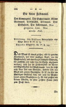 Die kleine Feldmaus.