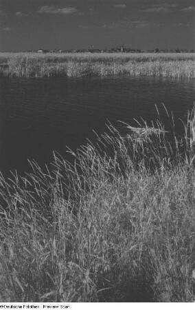 Dorflandschaft mit Teich