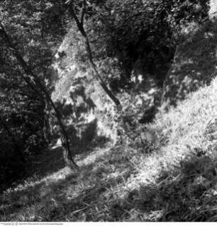 Parco Orsini