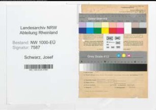 Entnazifizierung Josef Schwarz, geb. 06.03.1891 (Angest.)