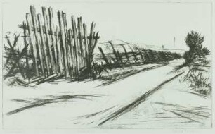 Landschaft