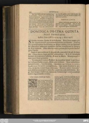 Dominica Decima Qunita Post Trinitatis. Epistola Galat. 5, & 6. a v. 24. cap. 5. & 11. cap. 6.