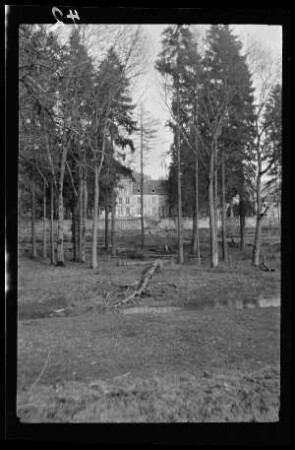 Blick durch einen Park mit Baumbestand auf ein Anwesen