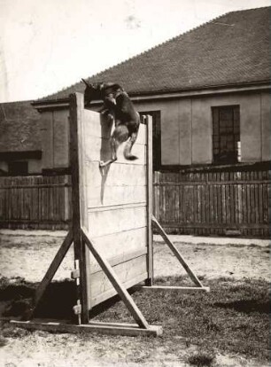 Überwinden der Bretterwand