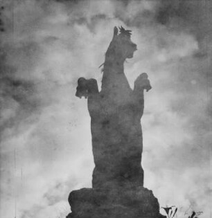 Pegasos, Salzburg 1993 : Schatten des Pegasusbrunnen in Salzburg