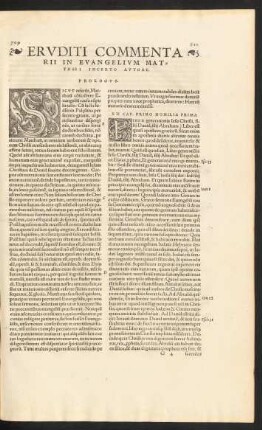 Eruditi Commentarii In Evangelium Matthaei Incerto Autore.
