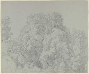 Waldpartie