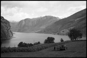 Flåm: Steckenauslegen für die Heuerne , Hintergrund Fjord