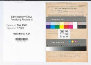 Entnazifizierung Karl Haselhorst, geb. 18.07.1899 (Ingenieur)