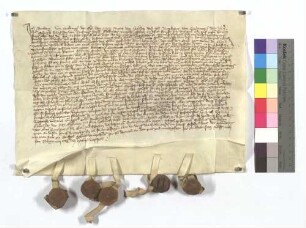 Fertigung von Reinhard dem Älteren und Jüngeren von Sickingen um alle ihre Leibeigenen zu Zaisenhausen.