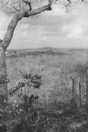 Tendaguru-Hügel vom Lipogiri-Plateau aus : Blick in eine Savannenlandschaft mit einem Hügel