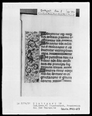 Lateinisch-französisches Stundenbuch — Bordüre mit Groteske, Folio 34 verso