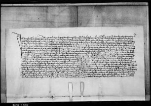 Hans Dinkel von Stuttgart, strafbarer Sachen halb in das Gefängnis gelegt, schwört bei seiner Entlassung Urfehde.