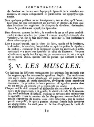 V. Les Muscles