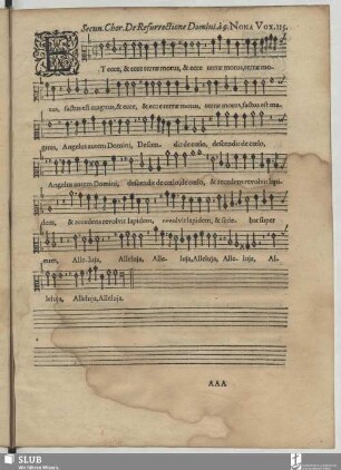 [Motetten 115-125]