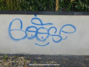 GooSe