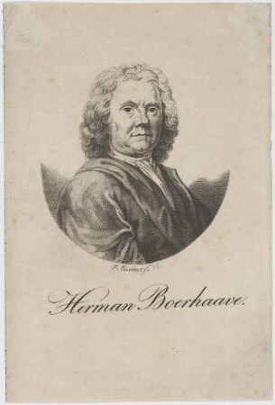 Bildnis des Herman Boerhaave