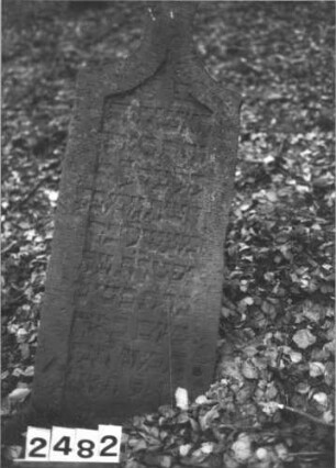 Grabstein 2482