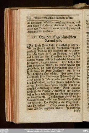 XVI. Von der Engelländischen Kranckheit.