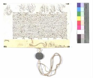 Bulle über die Aufschwörung des Ellwanger Kapitularen Carl Ferdinand Graf Khuon.
