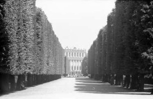 Schönbrunn: lange Baumallee, ohne Brunnenfigur