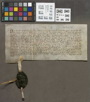 Mainz (Stadt): Locatio hereditaria Eccl. St. Marie ad Gradus Mog. arc. des Grozen Erbe site in curia quondam Frl. Domicelle Elizabet Dangmuden pro...