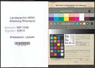 Entnazifizierung Lisbeth Krebsbach , geb. 15.09.1903 (Kaufmaennische Angestellte)