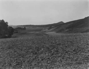 Landschaft bei Halberstadt : Blick über eine Landschaft mit Hügeln und kleinen Tal, vermutlich zwischen Seeberg und Kirchberg in der Nähe von Halberstadt