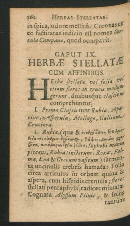 Caput IX. Herbae Stellatae Cum Affinibus.